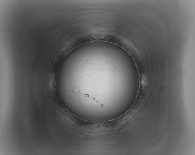 X0000111610867200907241007