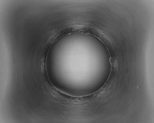 X0000111610868200907241007