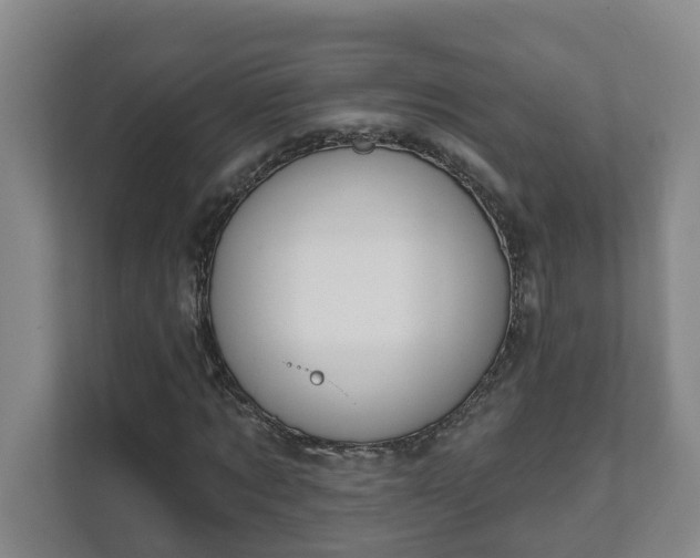 X0000111610869200907241007