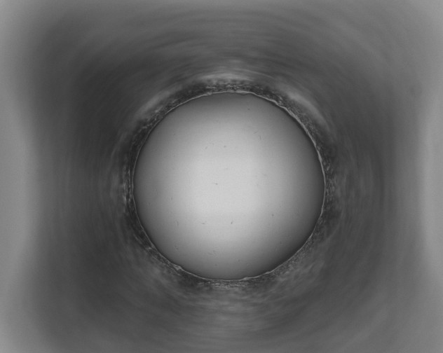 X0000111610870200907241007