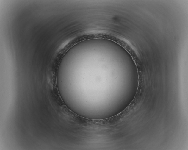 X0000111610871200907241007