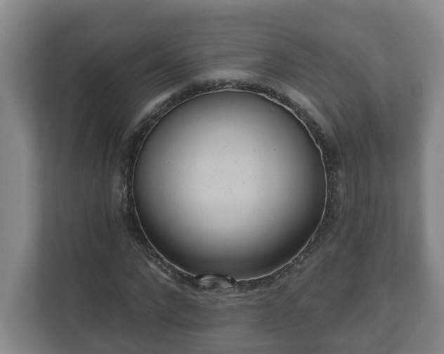X0000111610872200907241007