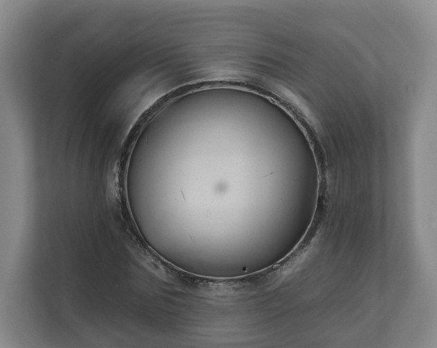 X0000111610875200907241007