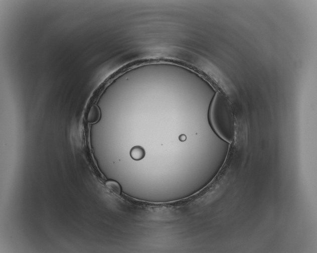 X0000111610876200907241007