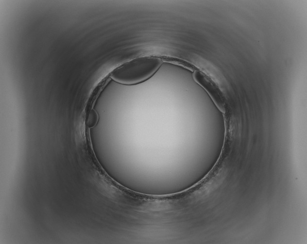 X0000111610877200907241007