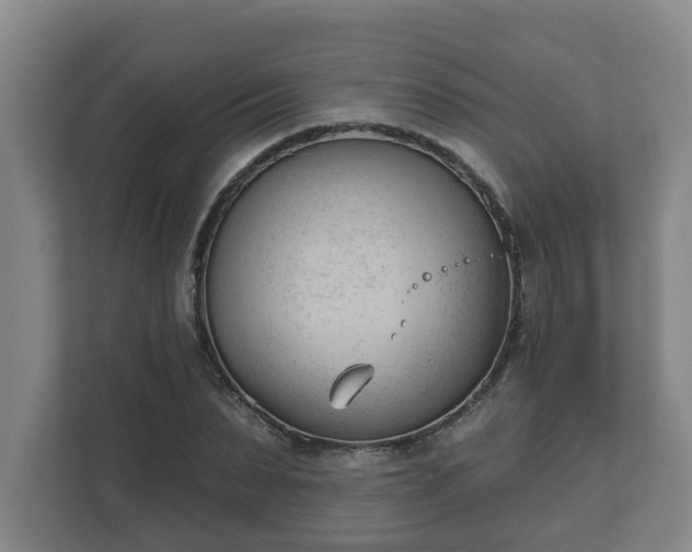 X0000111610879200907241007
