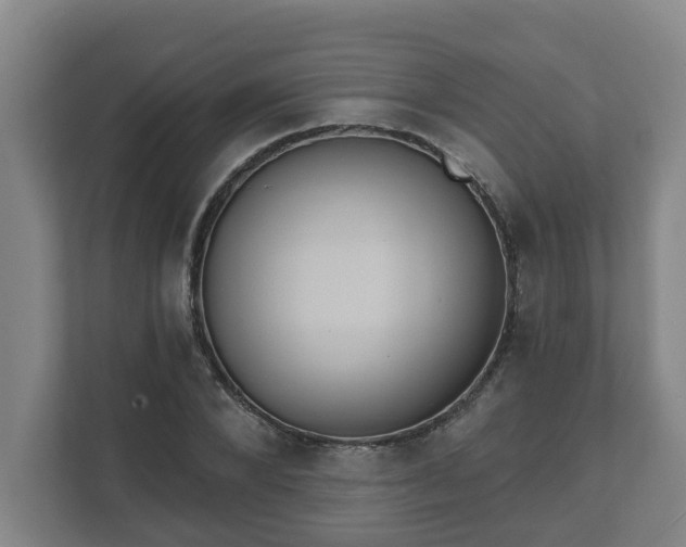 X0000111610880200907241007