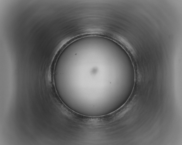X0000111610883200907241007