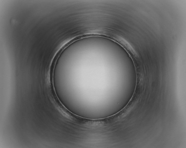 X0000111610884200907241007