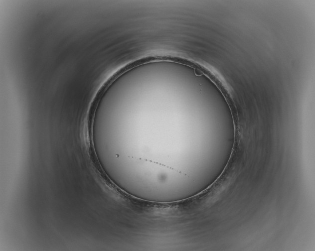 X0000111610887200907241007