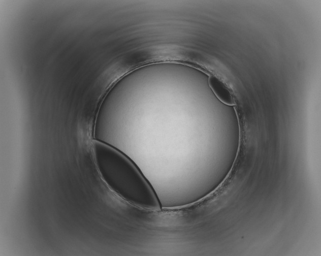X0000111610889200907241007