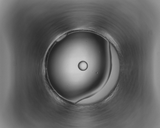 X0000111610892200907241007