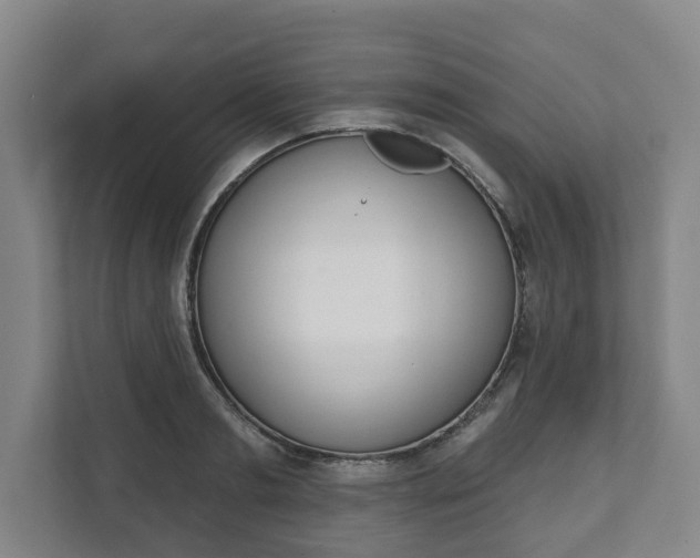 X0000111610893200907241007