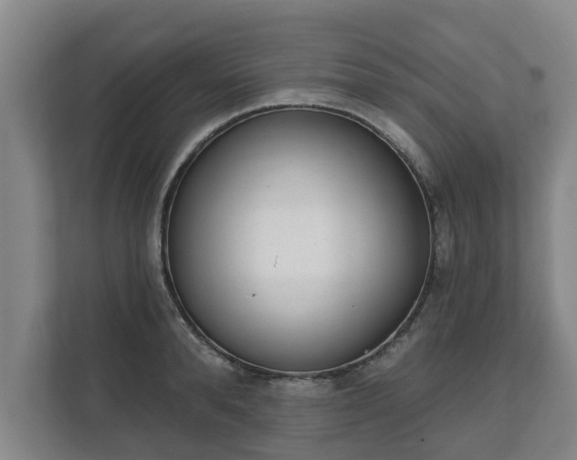 X0000111610896200907241007