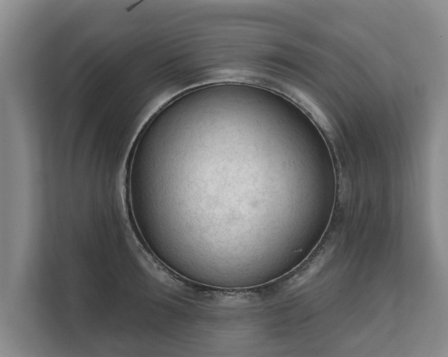 X0000111610899200907241007