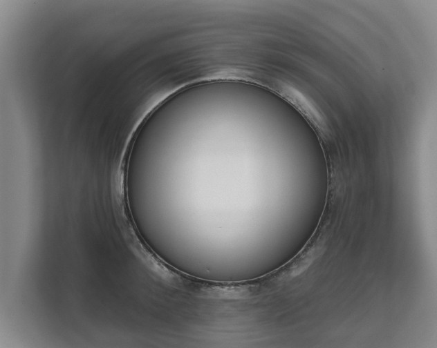 X0000111610900200907241007