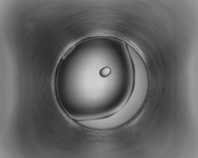 X0000111610901200907241007