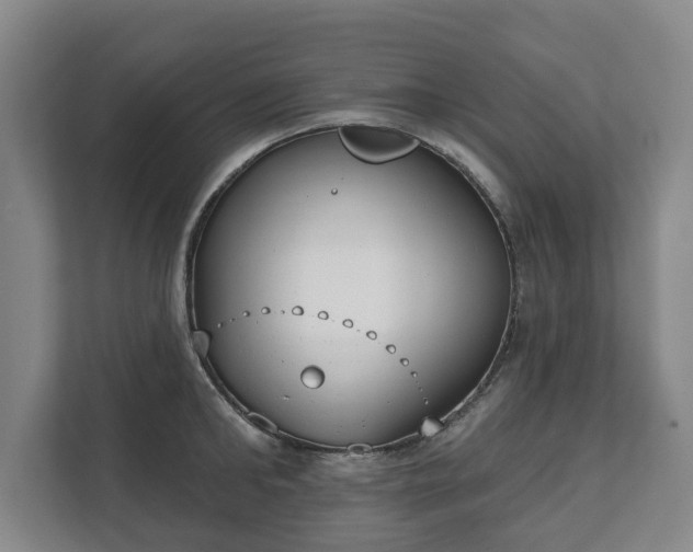 X0000111610902200907241007