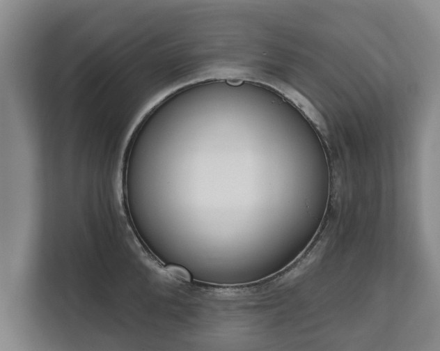 X0000111610904200907241007