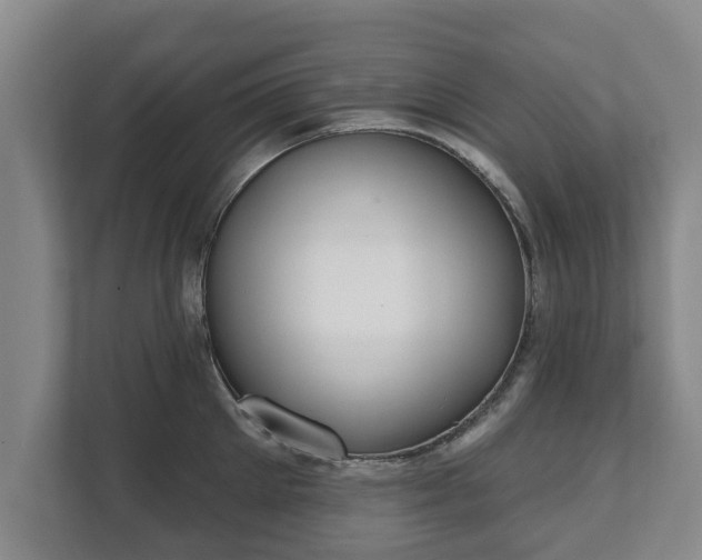X0000111610905200907241007