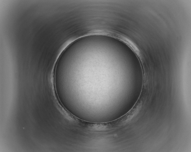 X0000111610907200907241007