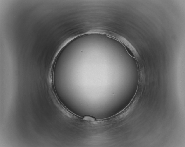 X0000111610908200907241007
