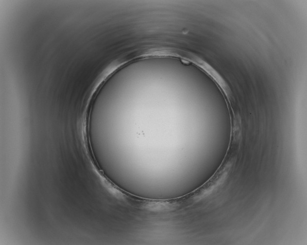X0000111610909200907241007
