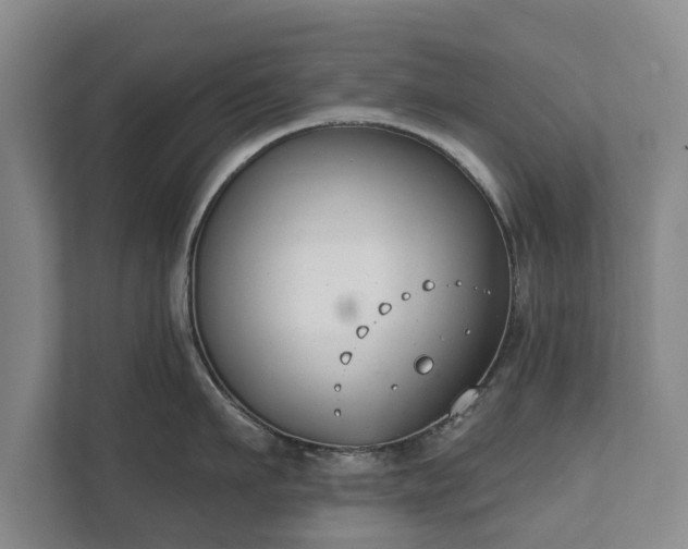 X0000111610911200907241007