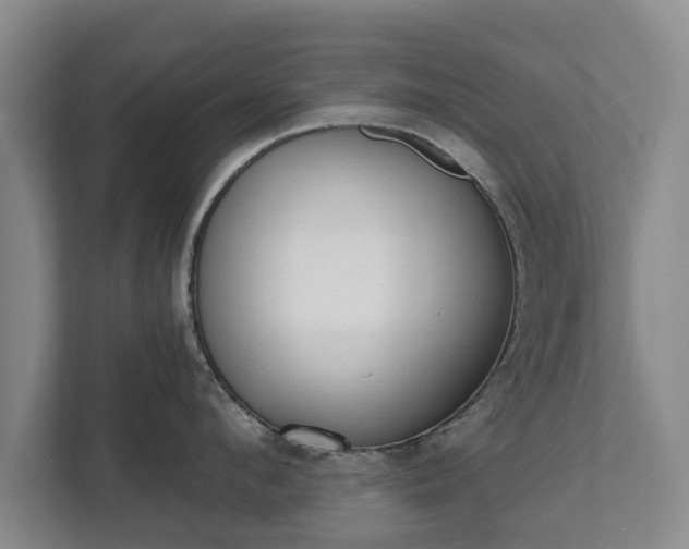 X0000111610912200907241007