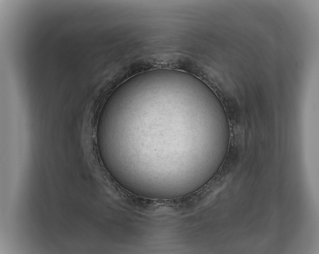 X0000111610913200907241006