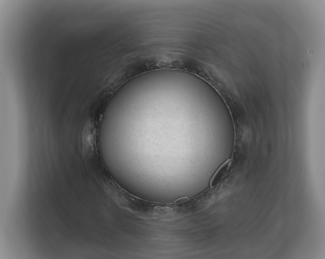 X0000111610914200907241006