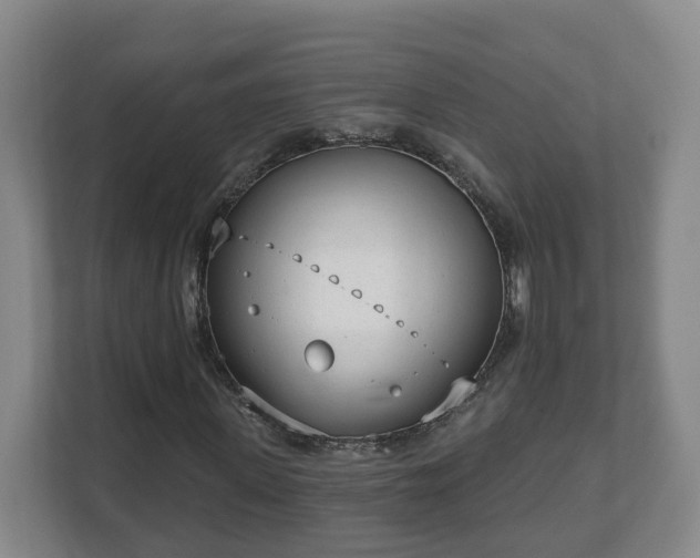 X0000111610915200907241006