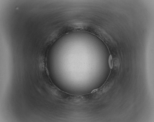 X0000111610916200907241006