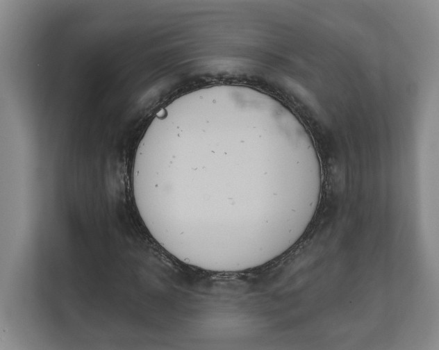 X0000111610918200907241006