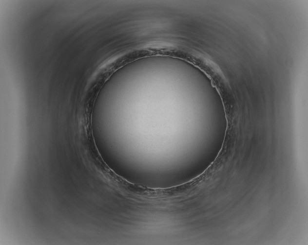 X0000111610920200907241006