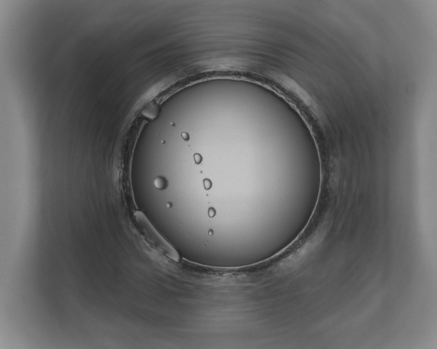 X0000111610922200907241006