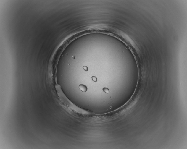 X0000111610923200907241006