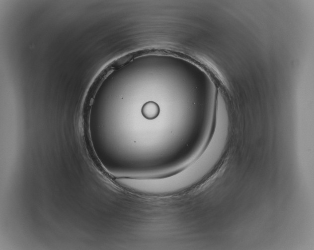 X0000111610924200907241006