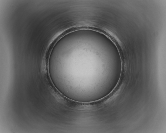 X0000111610925200907241006