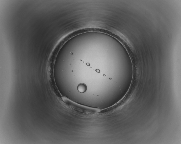 X0000111610926200907241006
