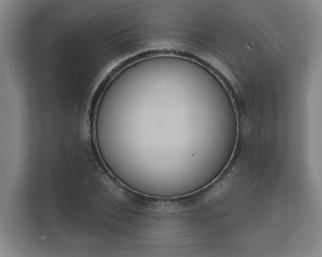X0000111610927200907241006