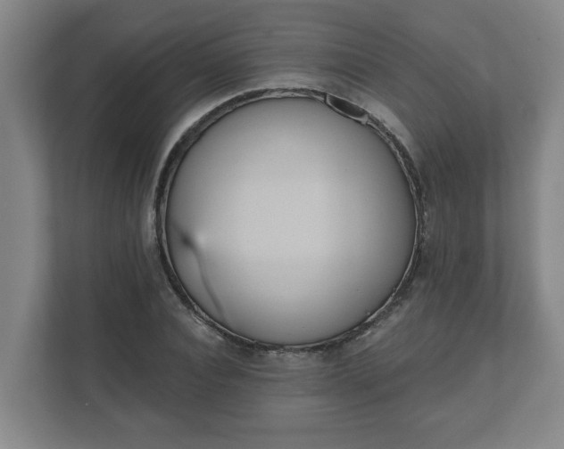 X0000111610928200907241006