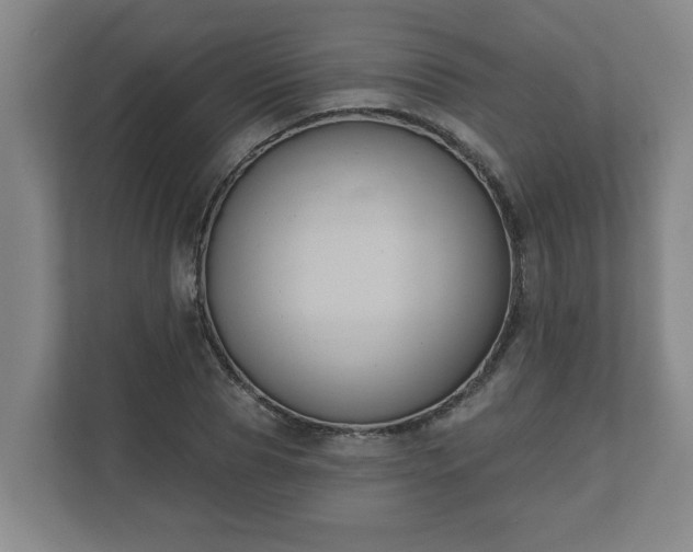 X0000111610929200907241006