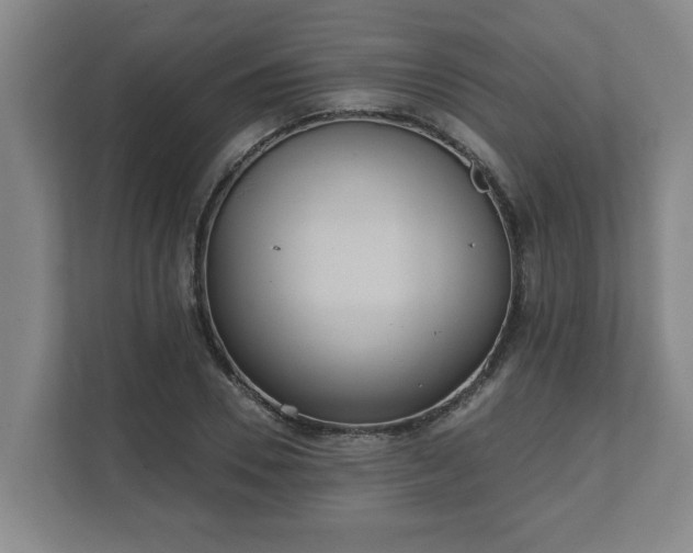X0000111610930200907241006
