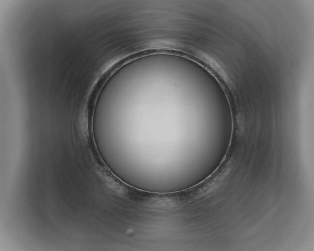X0000111610931200907241007