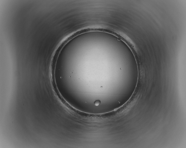 X0000111610935200907241007