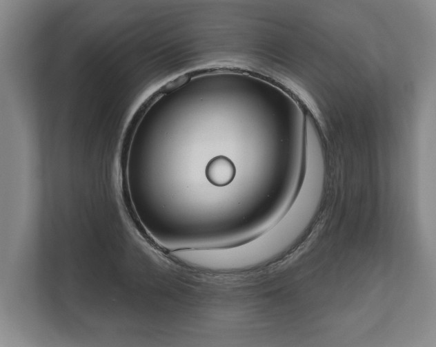 X0000111610936200907241007