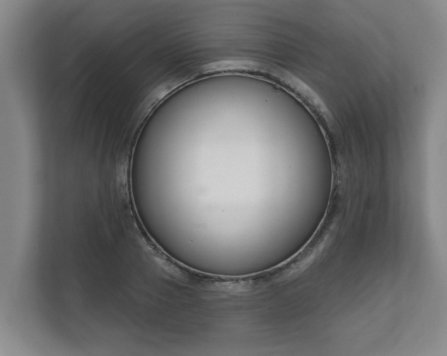 X0000111610937200907241007