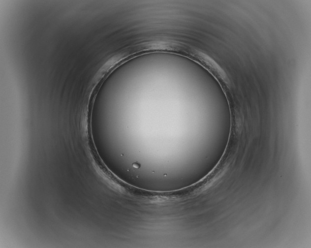 X0000111610938200907241007
