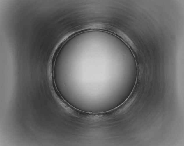 X0000111610939200907241007